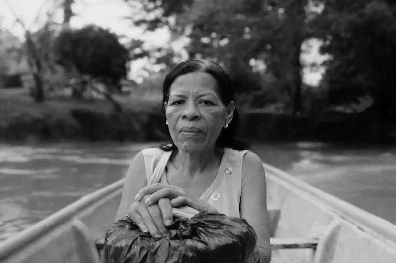 Ficción, Documental & Tv Shows