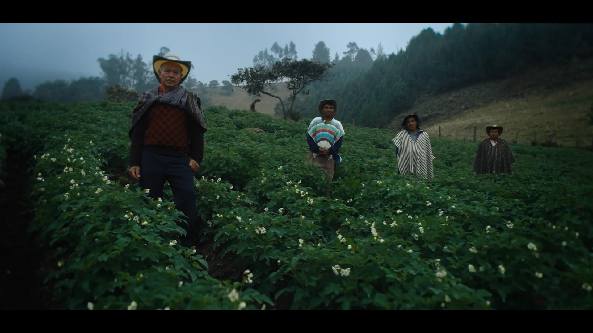 Still de documental